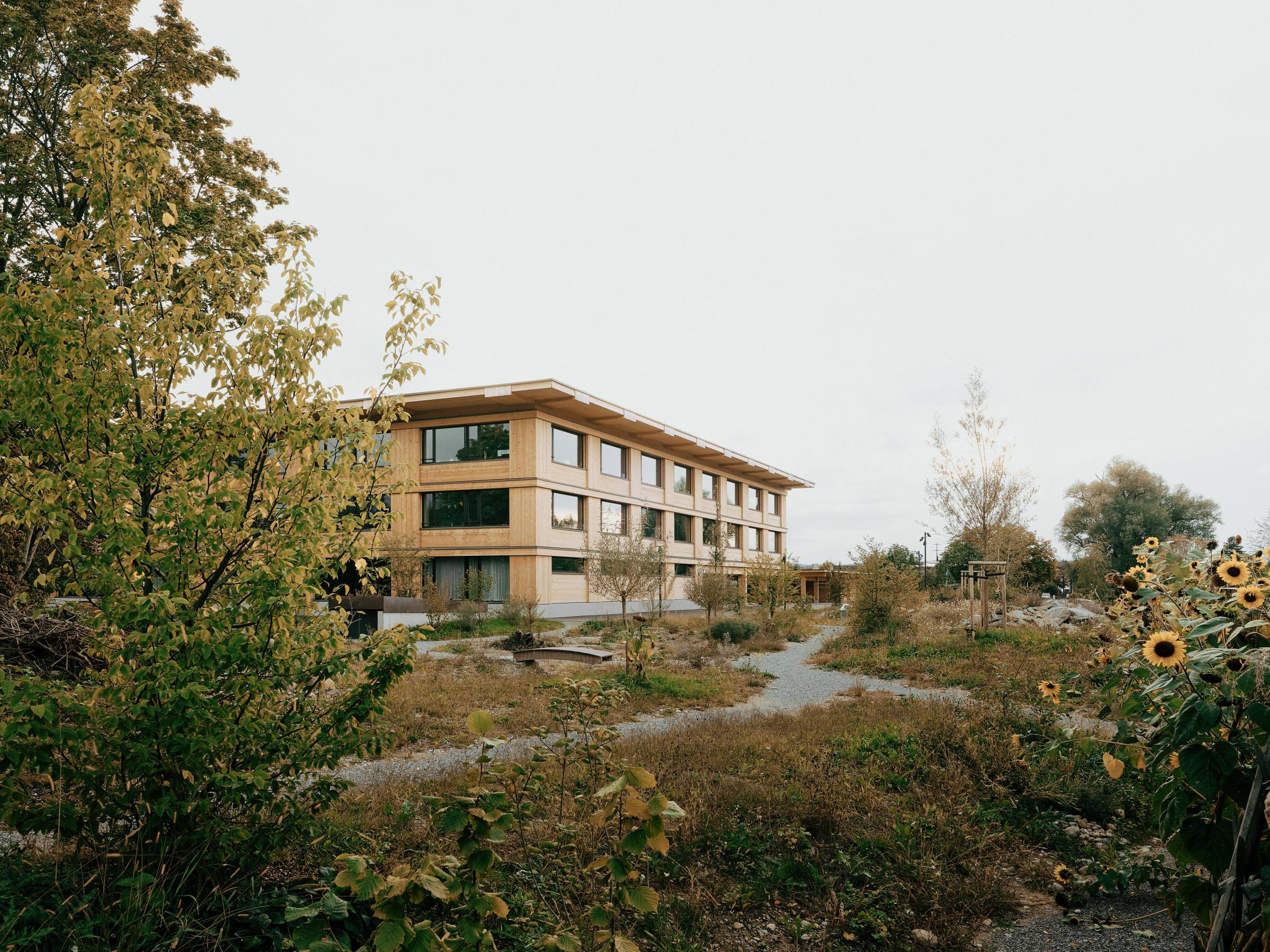 Blick von Nordosten: Das Schulhaus steht in einer naturnah gestalteten Umgebung.